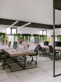 Reparatie oficiu Trandafirilor 11/6